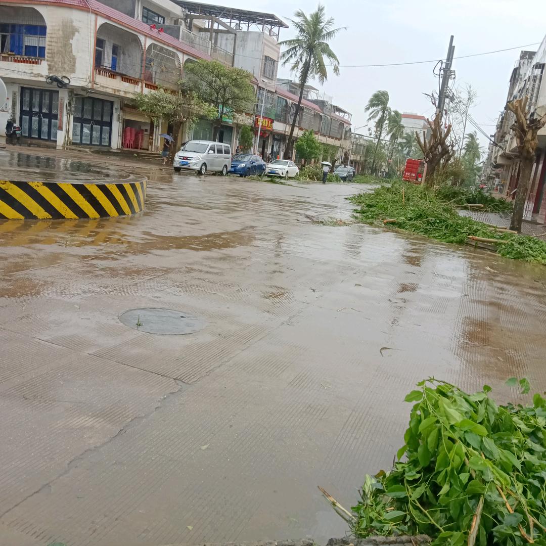 沃柑种植业胡大哥