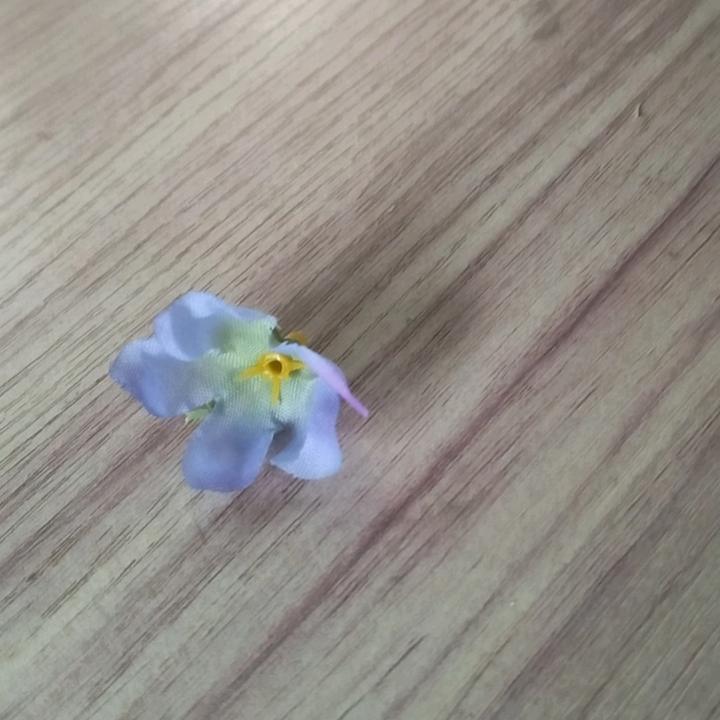 东山再起👩‍❤️‍💋‍👩👩‍❤️