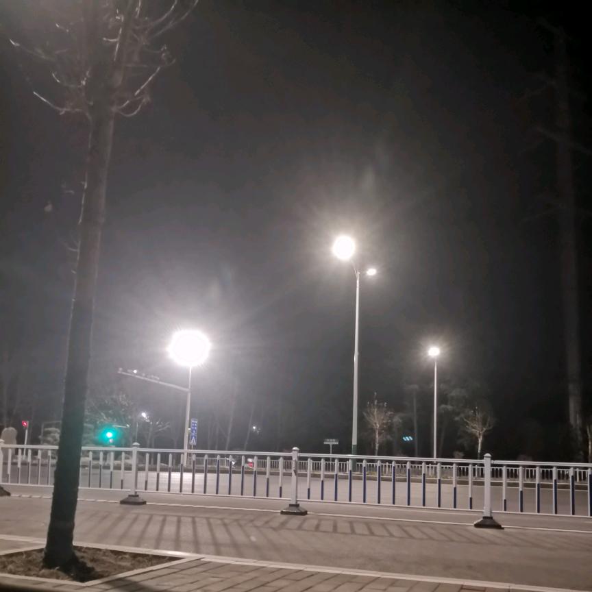 蹦蹦跳跳真可爱