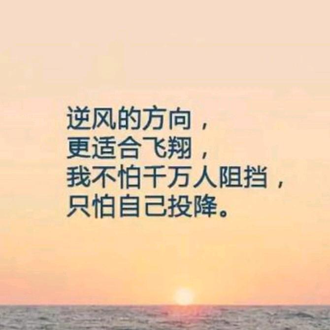 鑫序盈小店