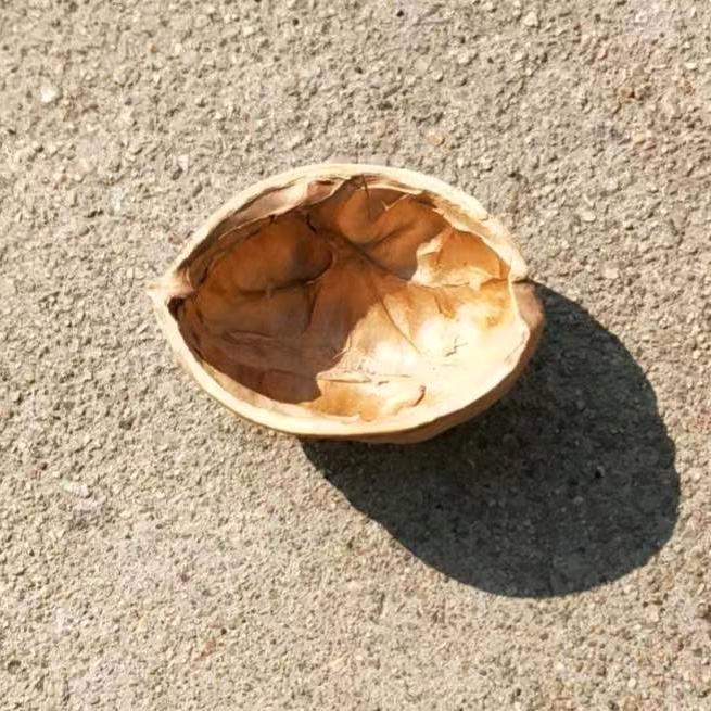 高密科顺防水修缮  王