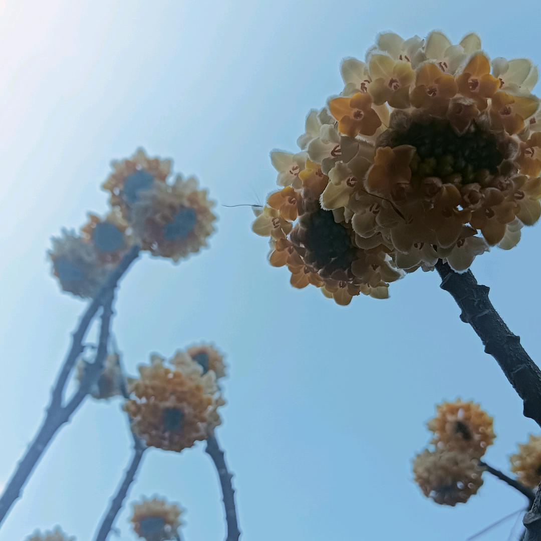 会   会
