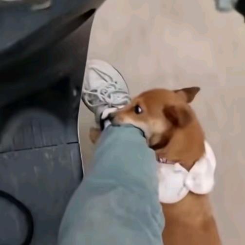 五龙山云霄洞第一代弟子