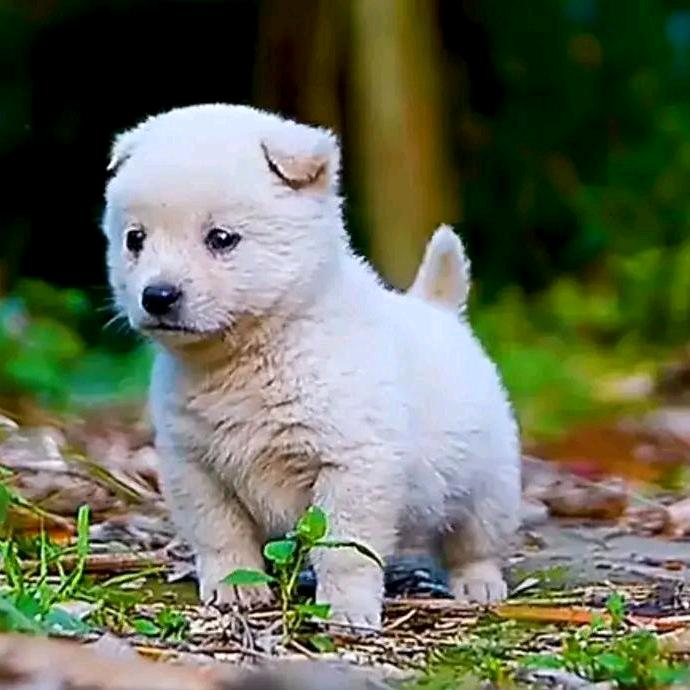 ⊙▽⊙心♥遇⊙▽⊙