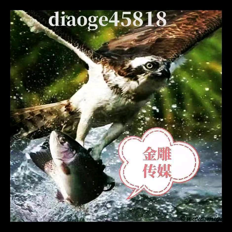 北海雕哥