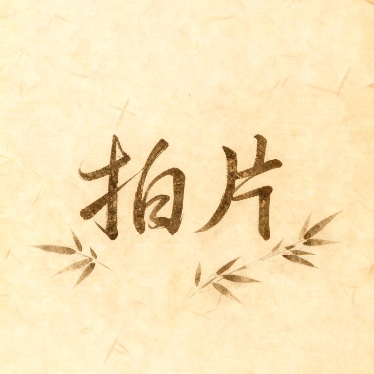 📷南一 （接跟拍  旅拍  约拍）