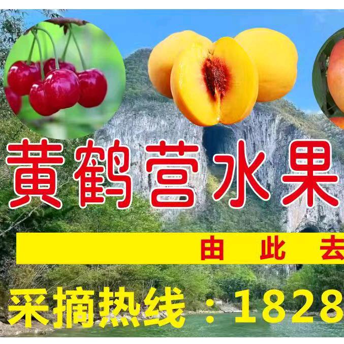 共创辉煌