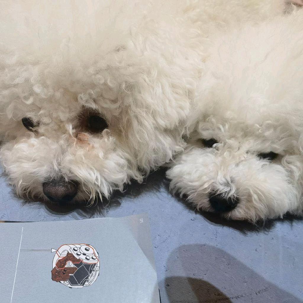 月家小小动物园