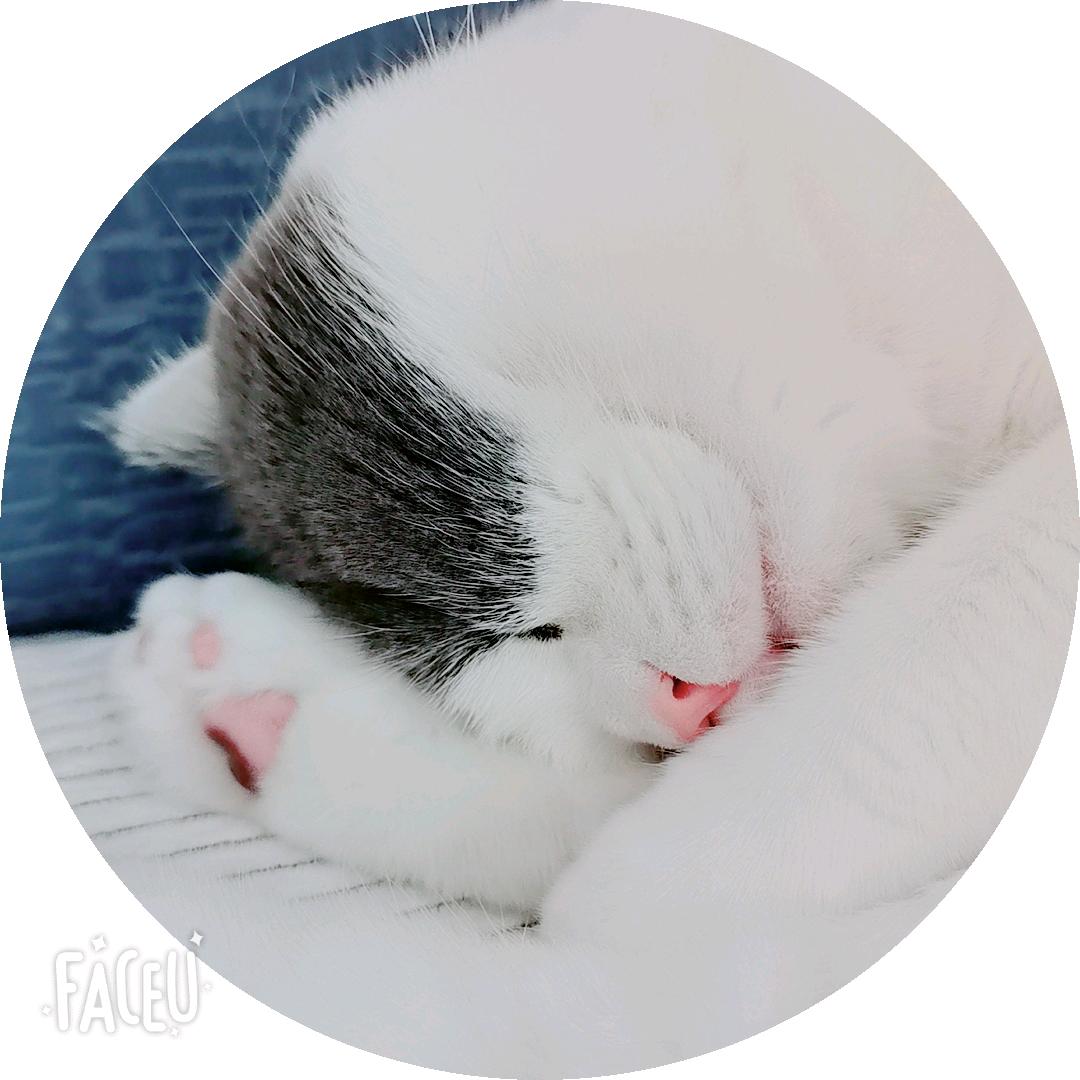 🌈小刘小刘👑~~