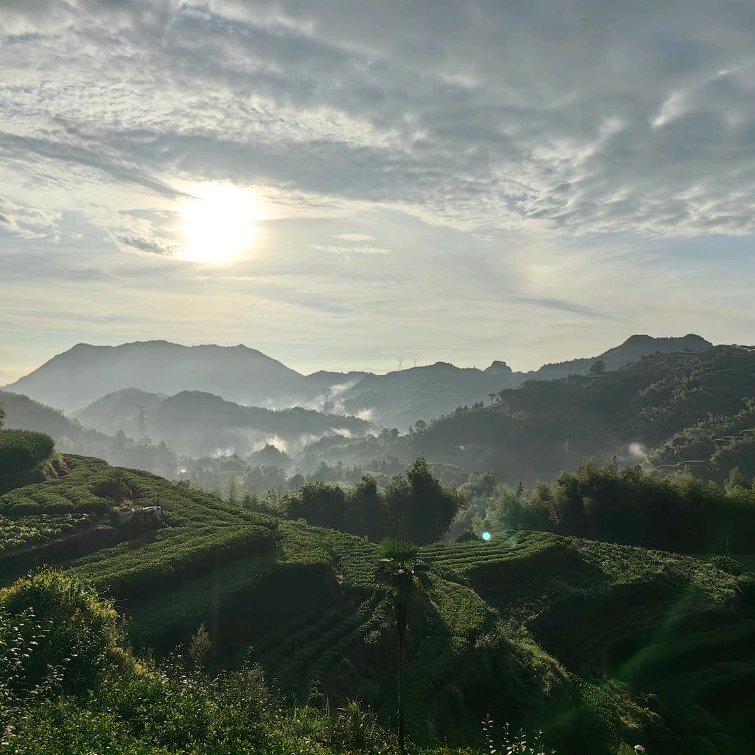 大山村