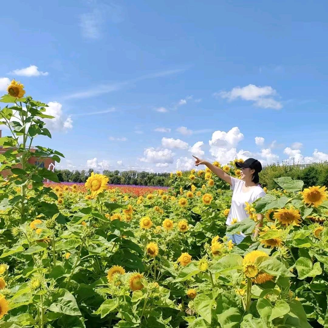 龙氏**推拿理疗中心