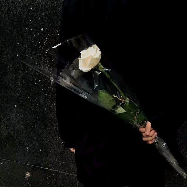 𝓟𝓸𝓲𝓼𝓸𝓷