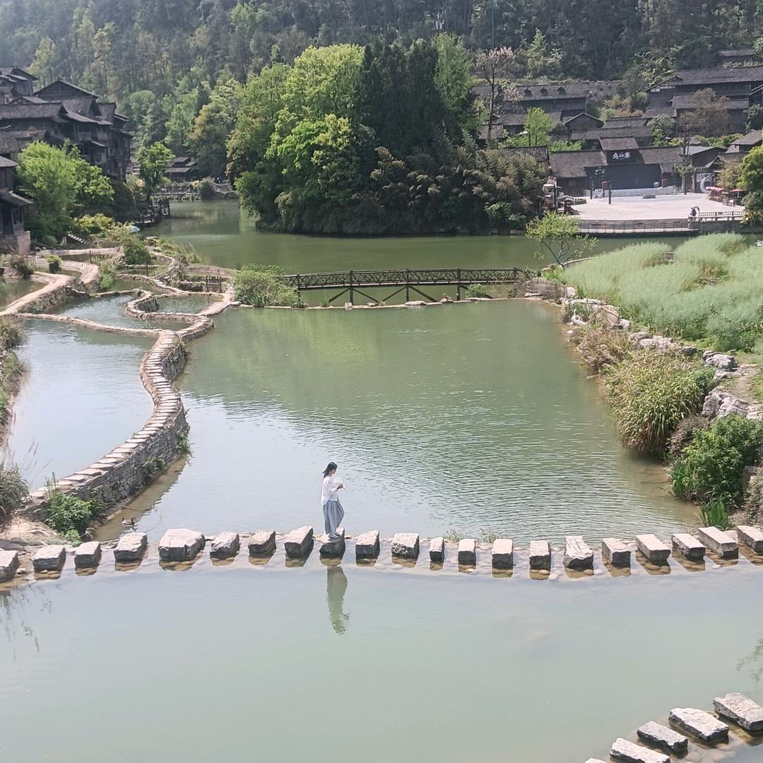 郑世蓉