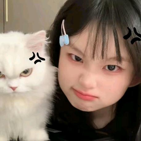 衬款心选