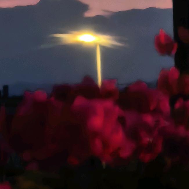 ଫୁଲ ରଙ୍ଗ