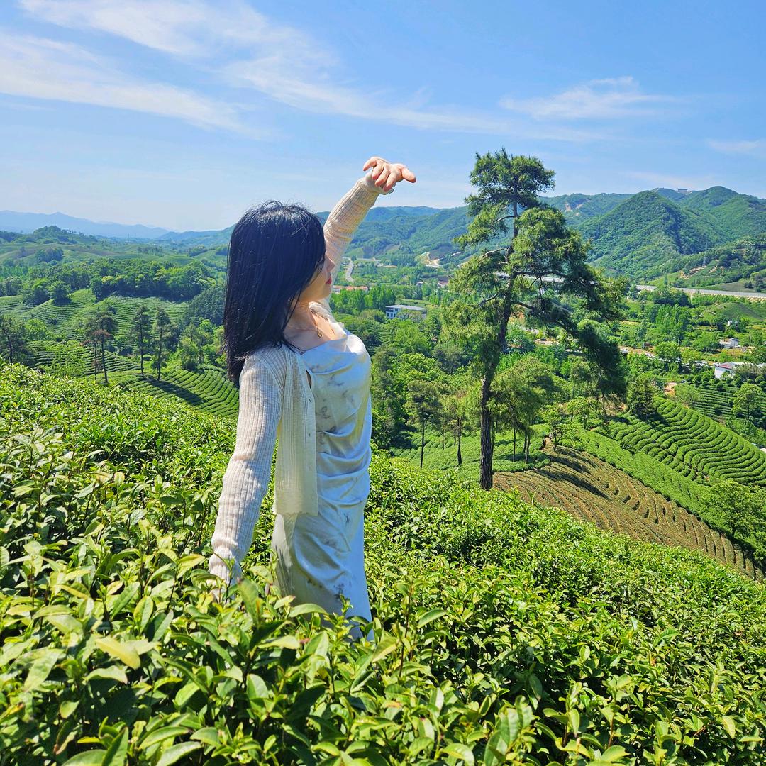小李的茶🍵