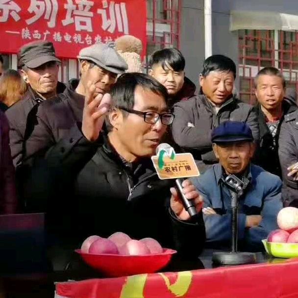 陕西省高级农艺师景忠才