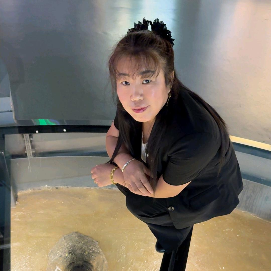 燕子手工坊☀️