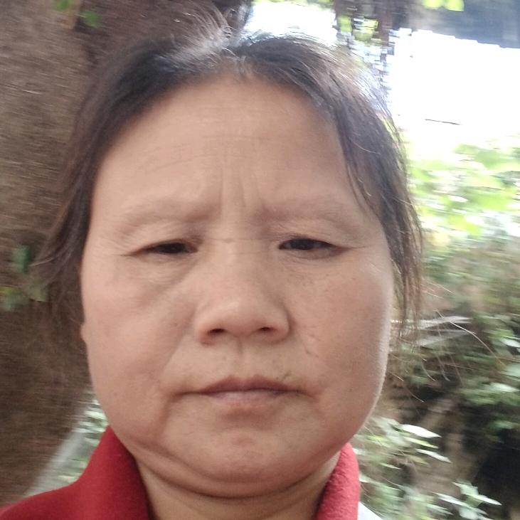 杨小平新人开播