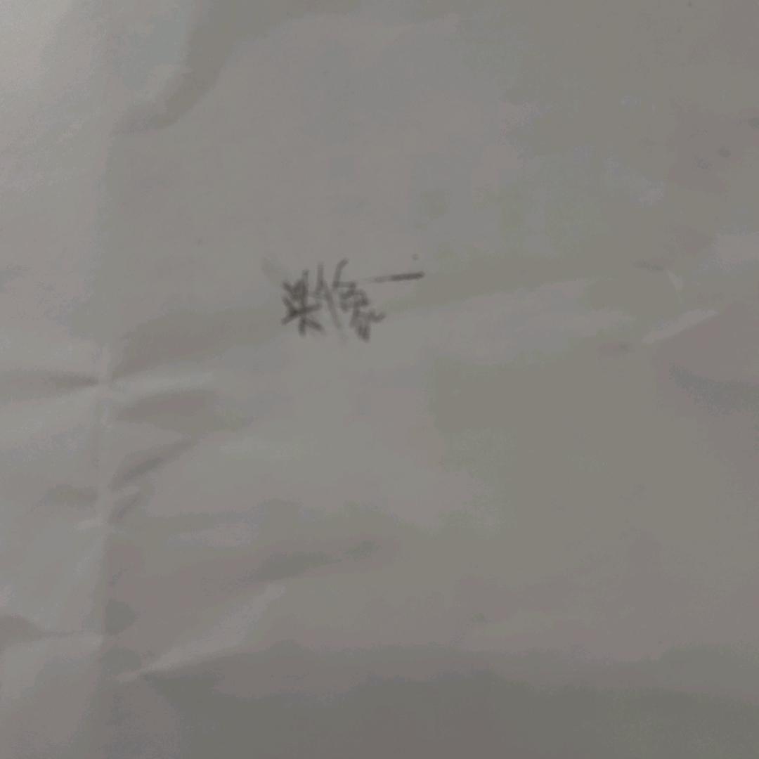不会取名字（蓝雨琳》