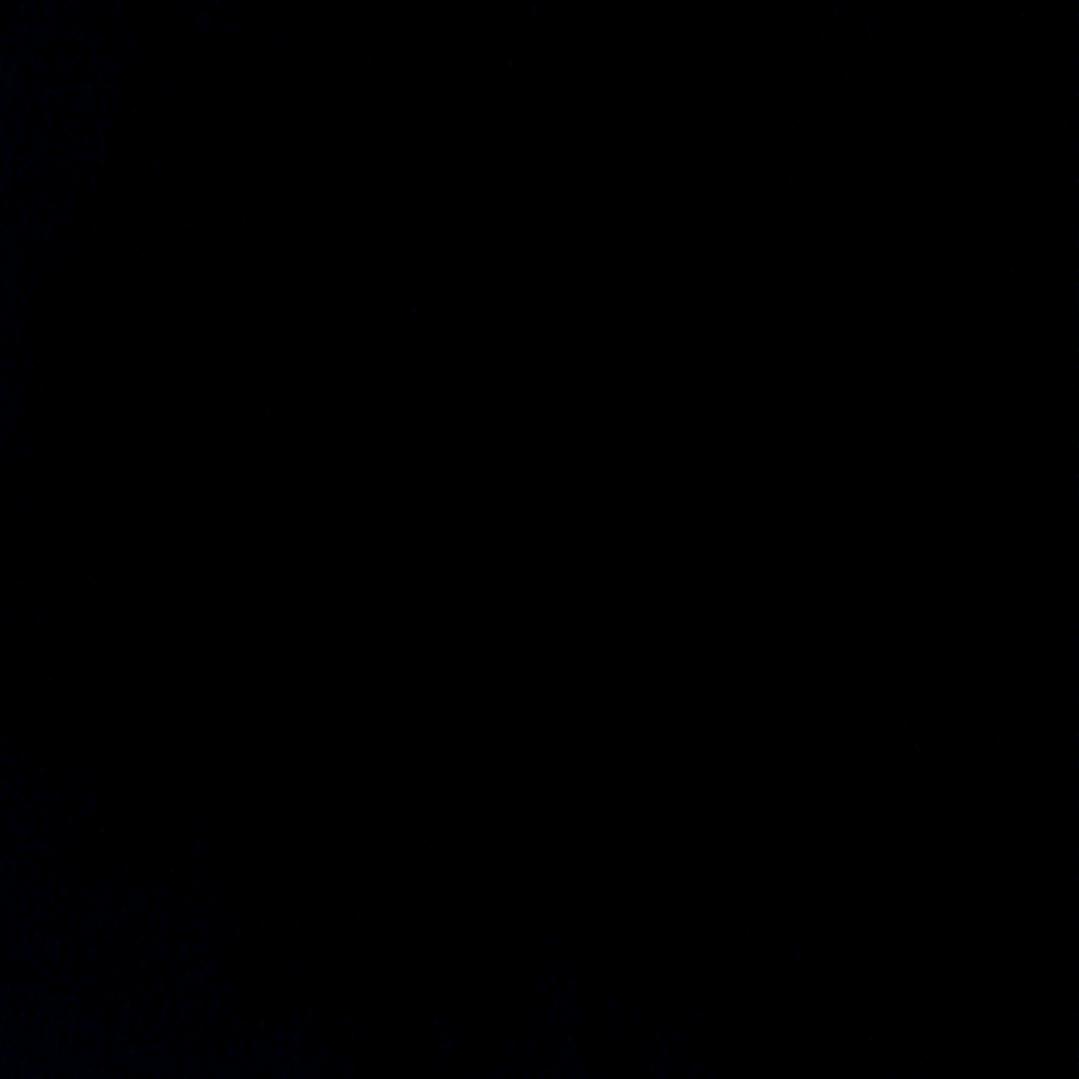 有岸l