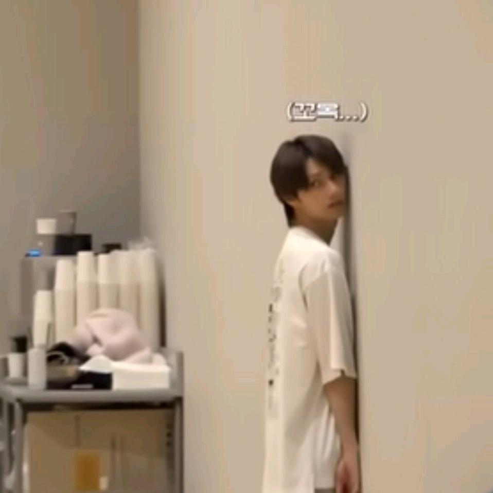 猫粮投喂员