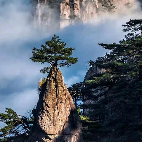 @海阔天空@