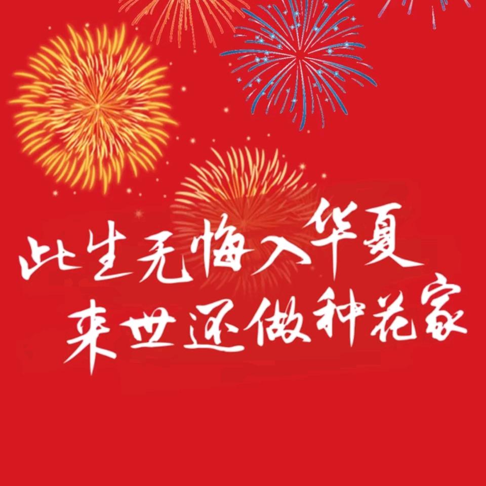 星星娱乐