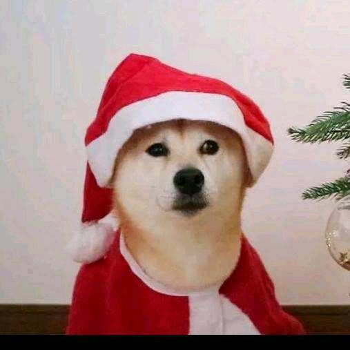 君安在谢12亩地