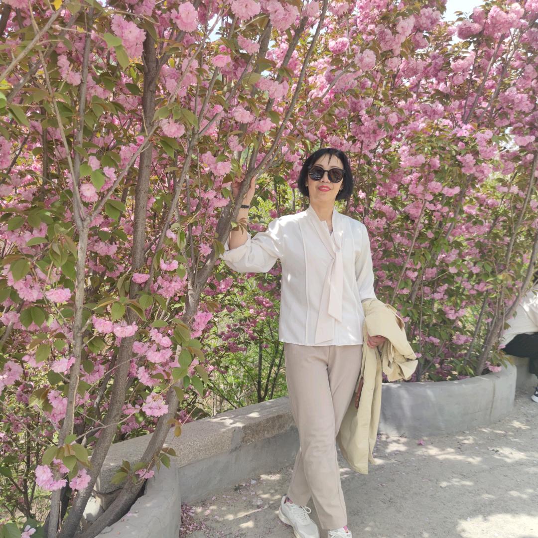 苏宁易购长风店西门子