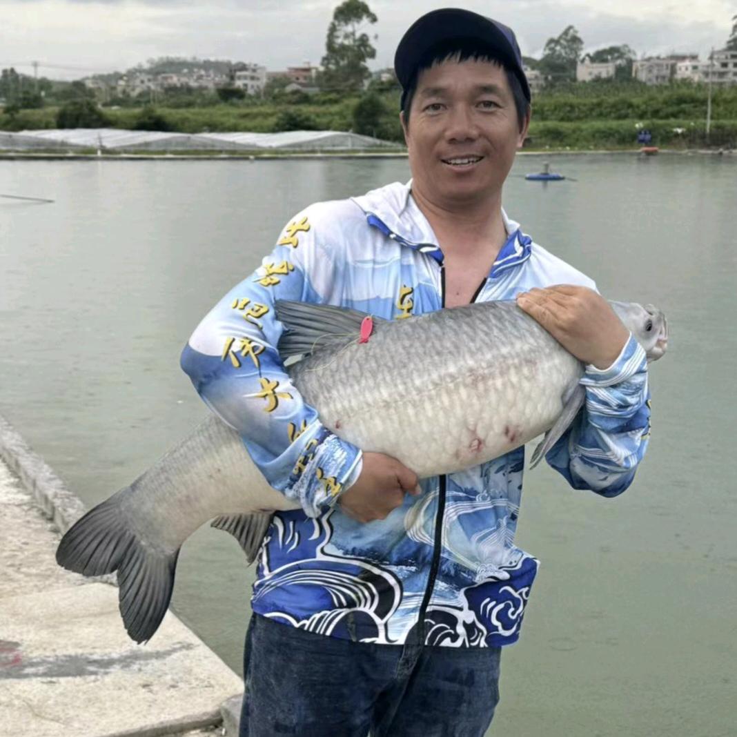 厦门荣哥盘黑坑