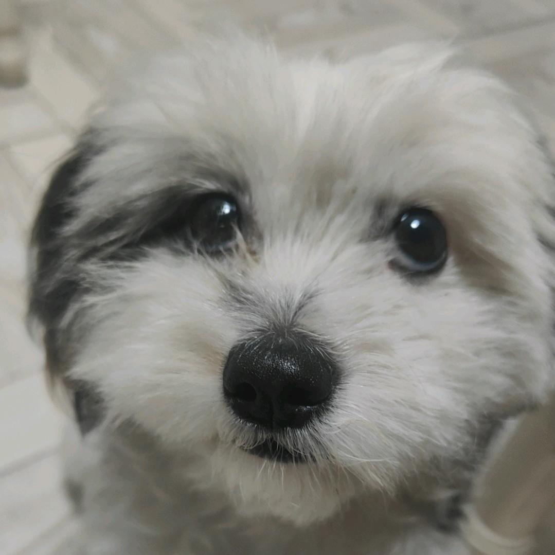难得清醒