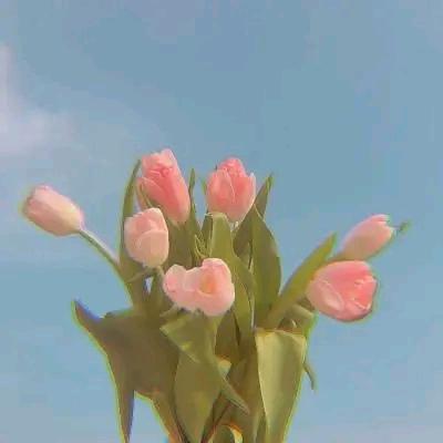 一饮孤独