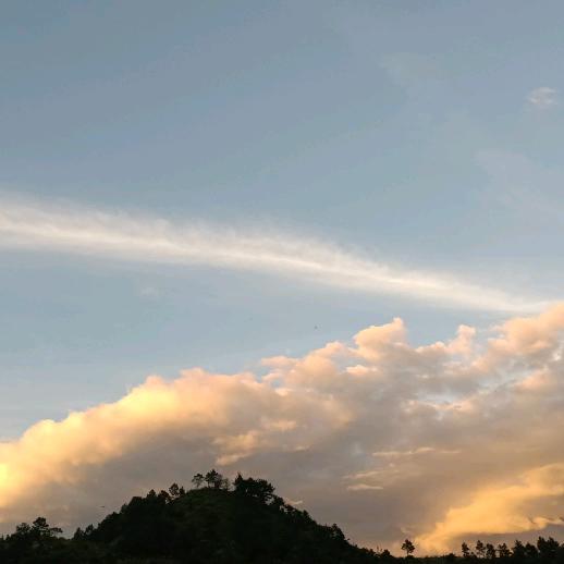 🐉🐉🐉风声水起🐉🐉🐉