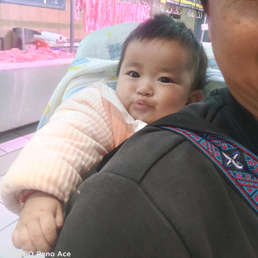 石林李记鲜肉饼