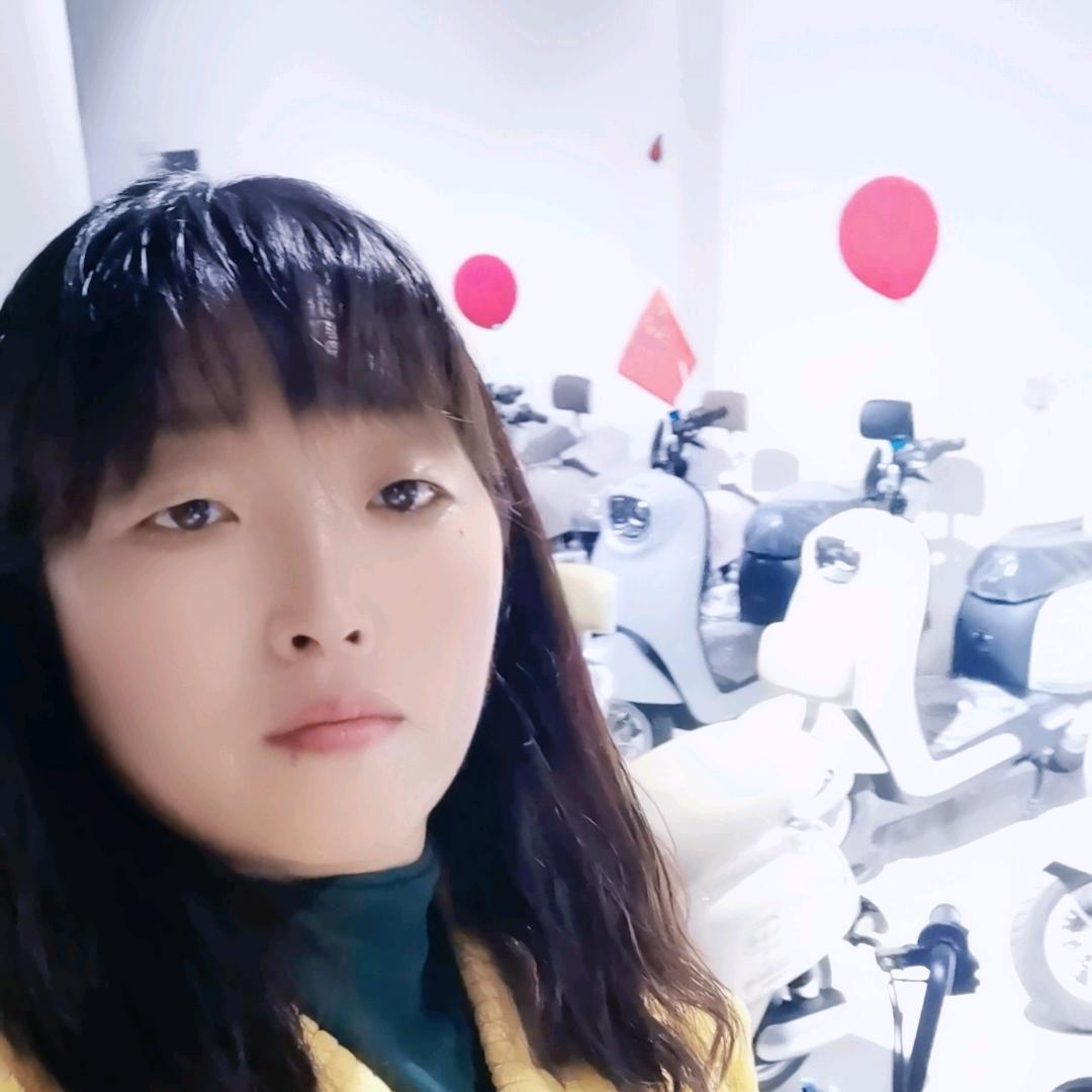 双拥路北欧派电动车