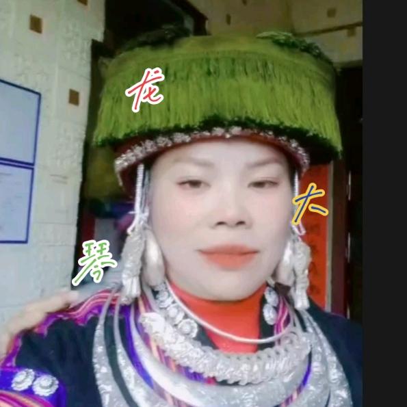 贵州妹（龙）