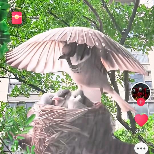 简