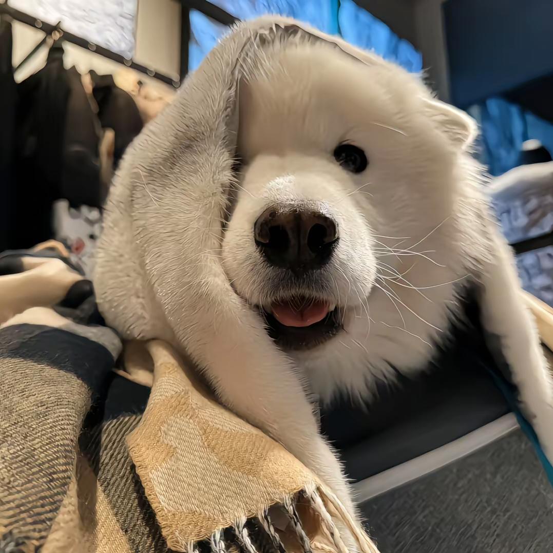 切成薄薄的厚片