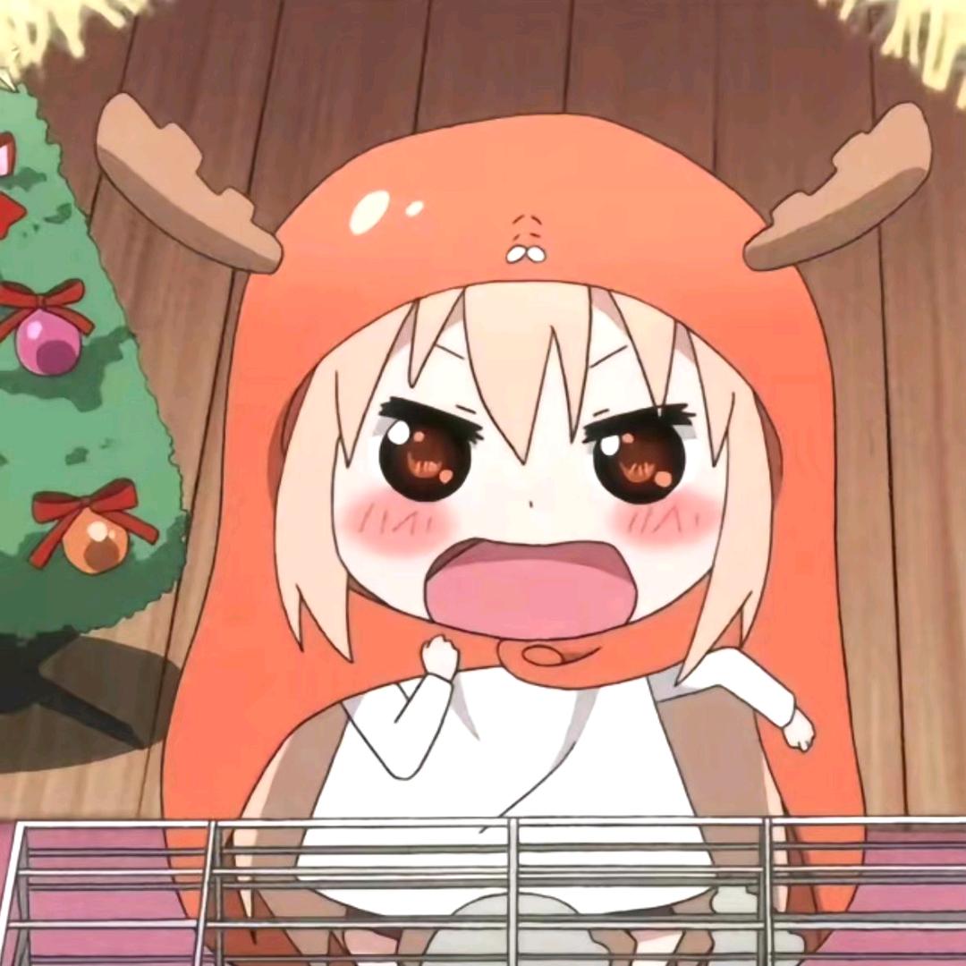 邹邹