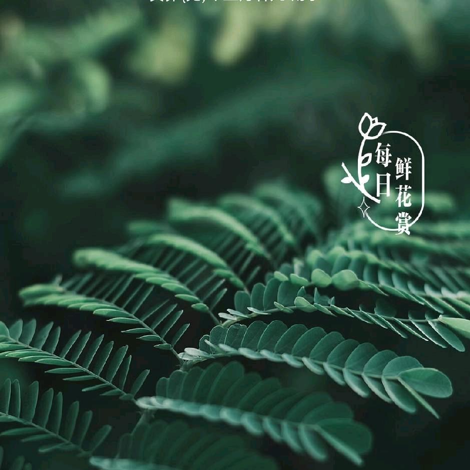 牛寨鸿兴电动车维修。铅酸电池加液保养