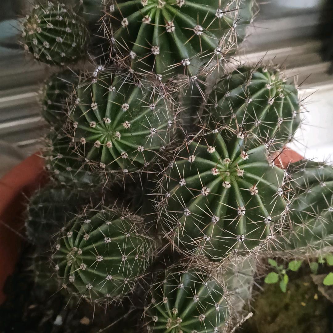 蝴蝶🦋飞飞
