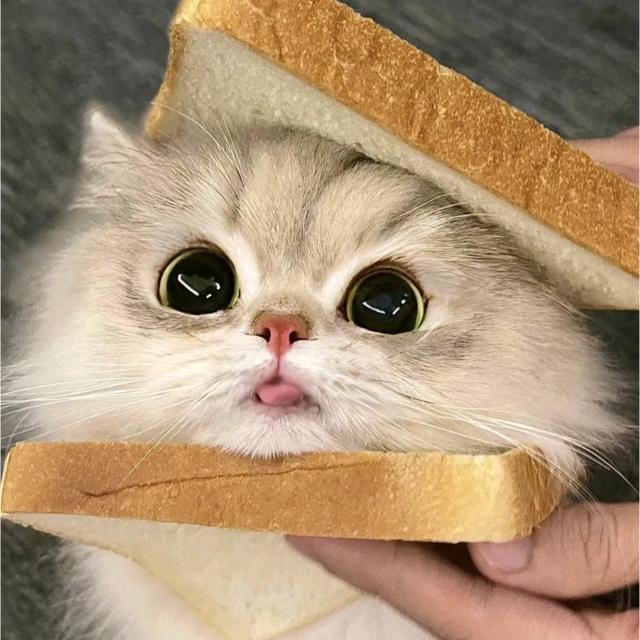 略略略