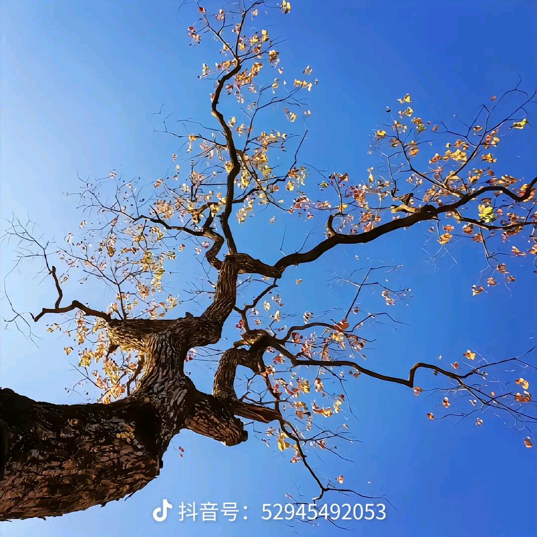 石头呃呃呃额额