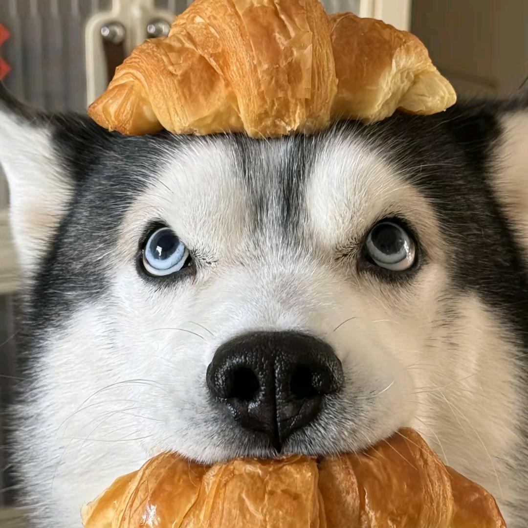 火龙果