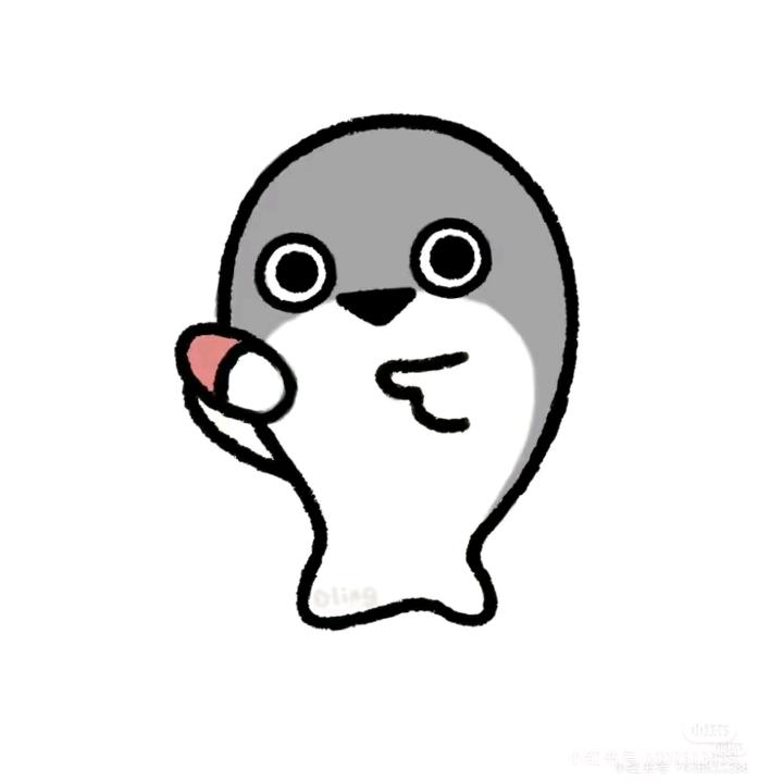 AAA鱼姐裤衩批发