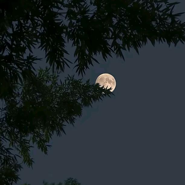 是糖果呀
