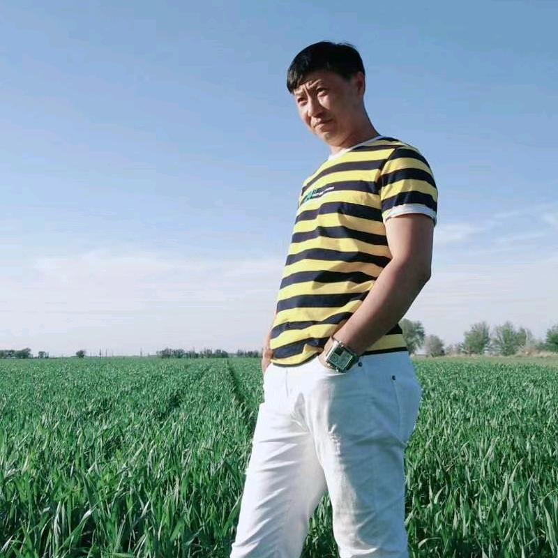 凯撒