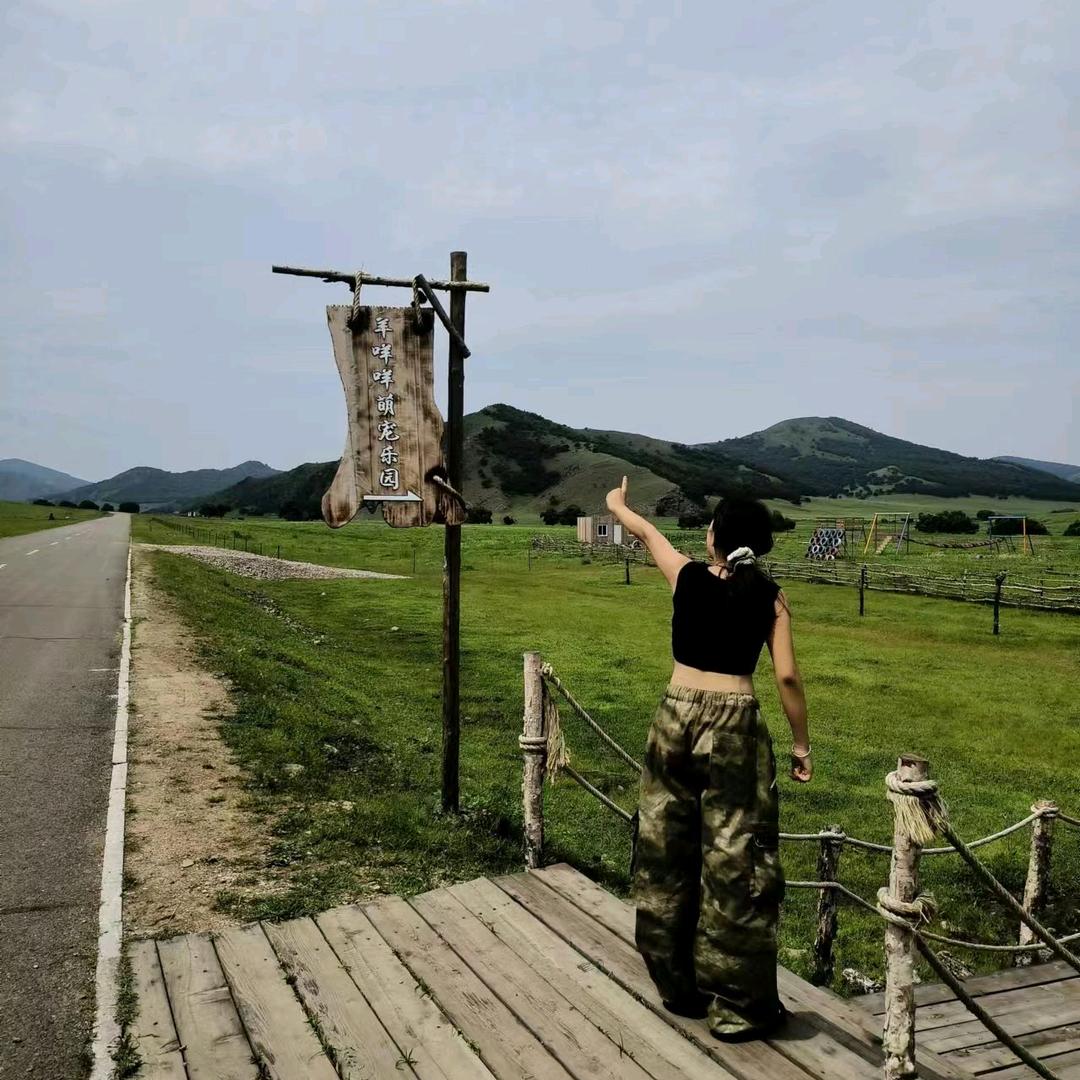 迷路的麋鹿222617729