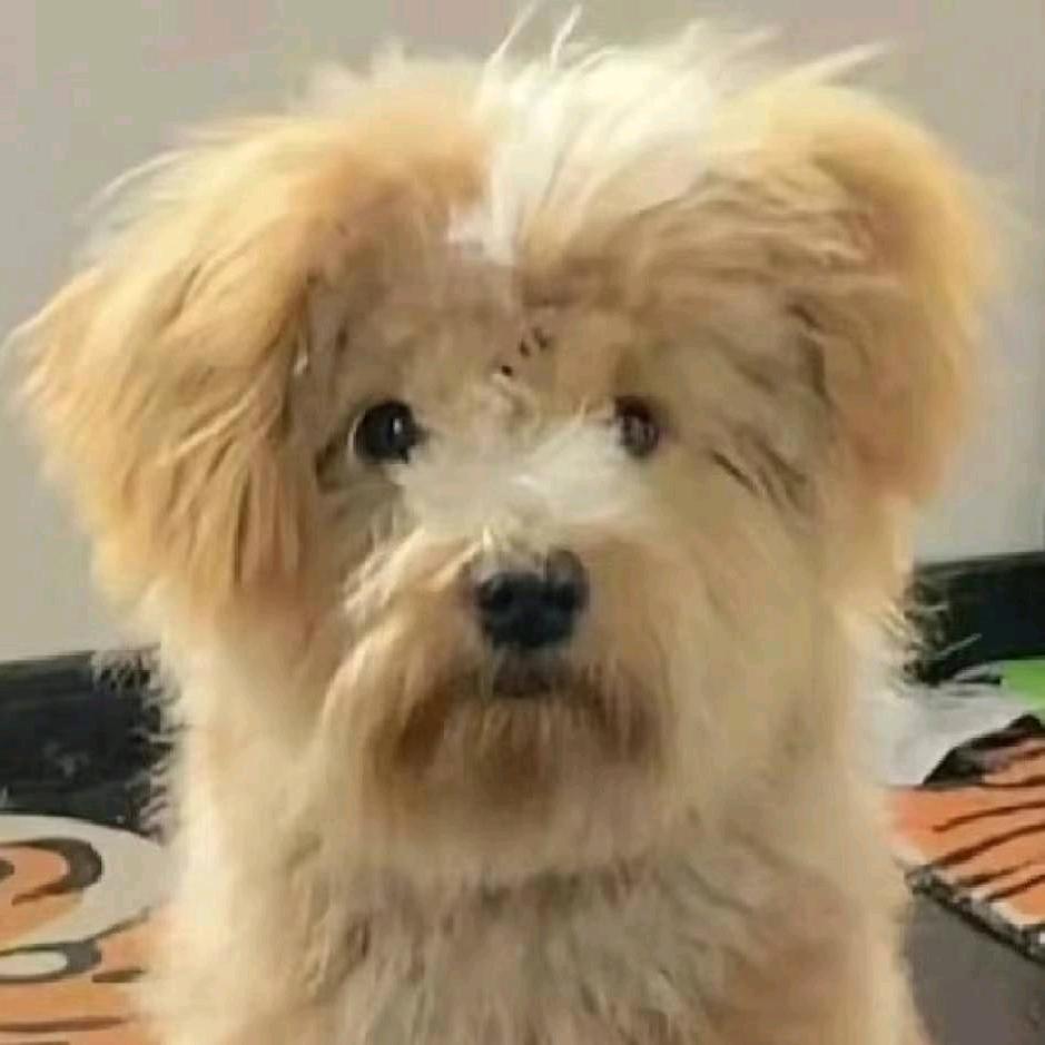 一定要天天向上